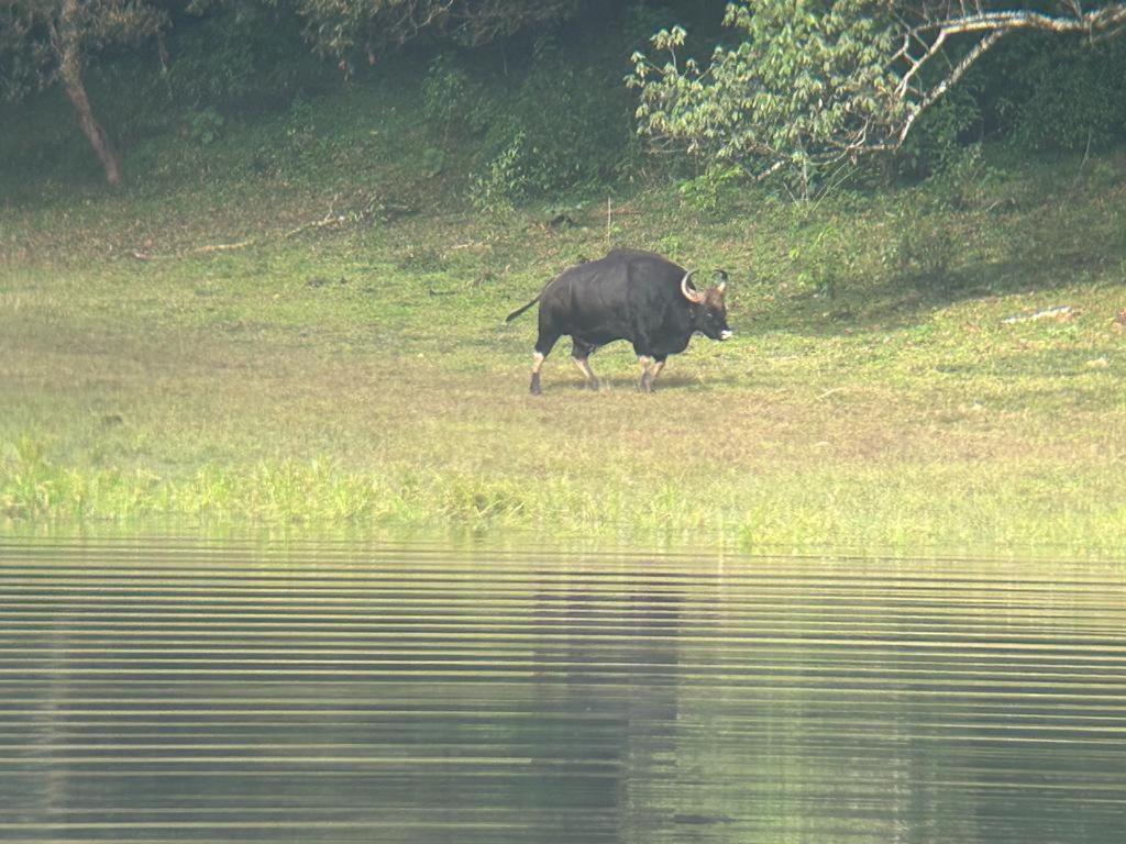 Quadriya Palace Thekkady Eksteriør billede